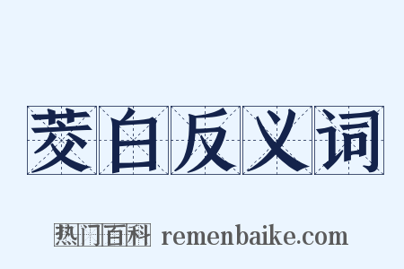 茭白反义词是什么意思的图片